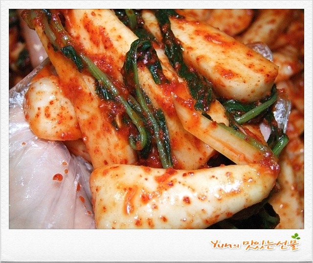 사과를 넣어 더욱 맛있는 아삭아삭~ 총각김치 간단하게 담그는법