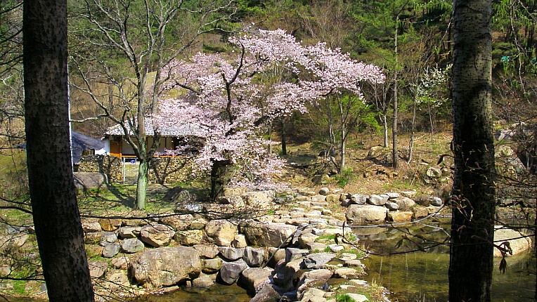 21048A44552905190DB9F3