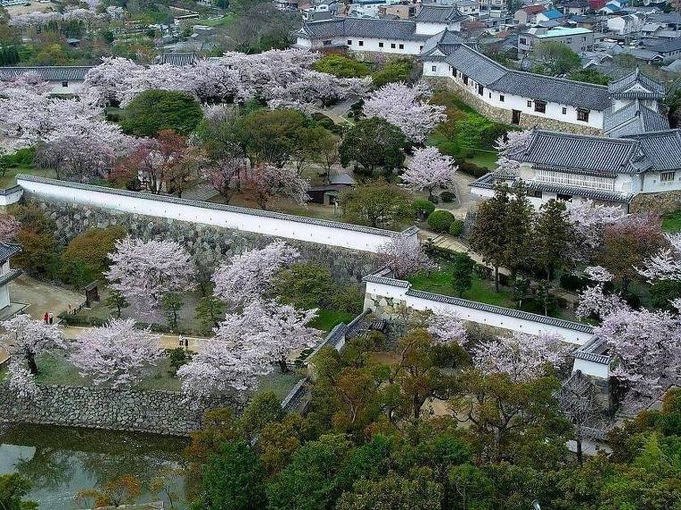 210ADC4B52A50E0B033FA7