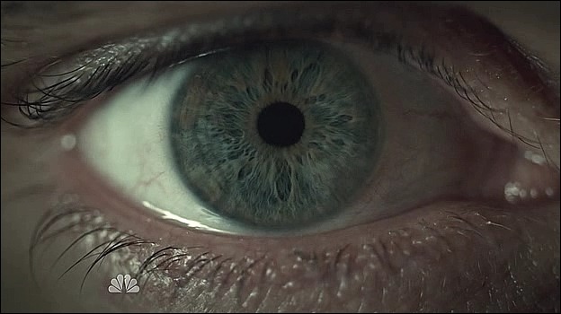 이젠홍콩인지욕망인지모르겠는미드 한니발(Hannibal) 시즌2 에피 4 Takiawase (2/3) (여러가지로주의) | 인스티즈