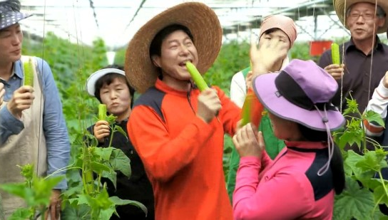 봉황광고 이미지
