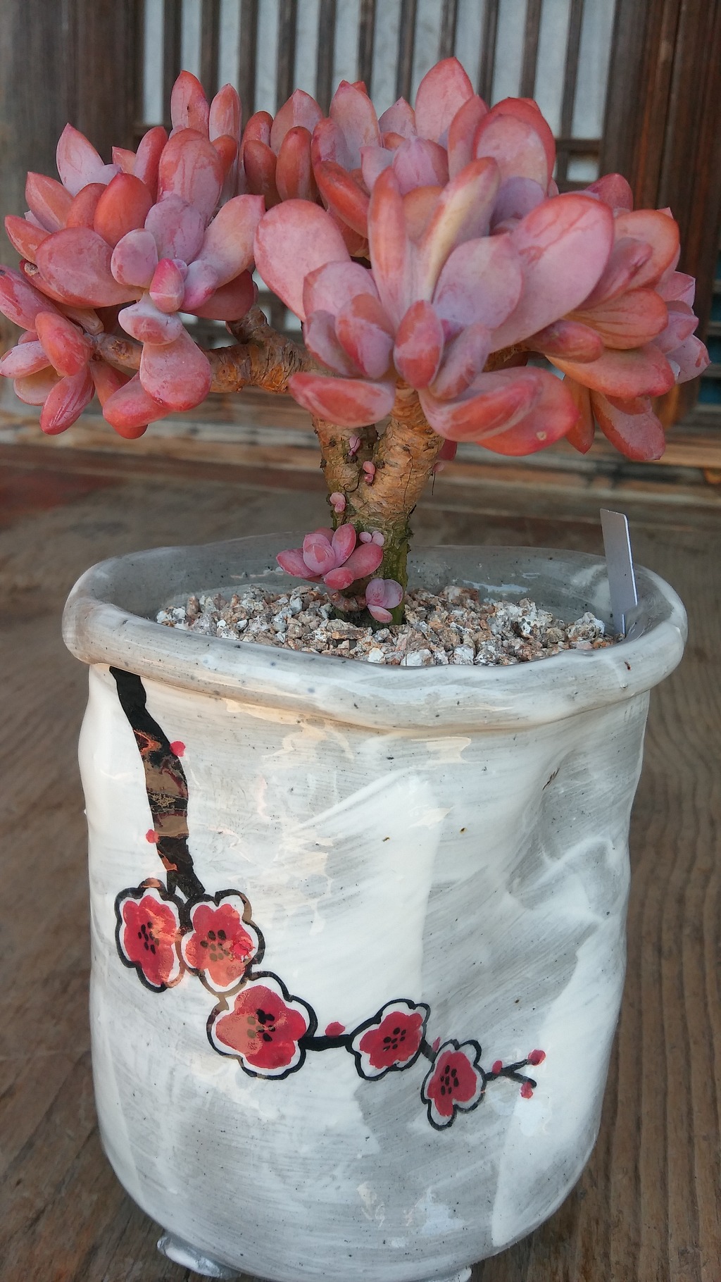 신데렐라입니다.^^