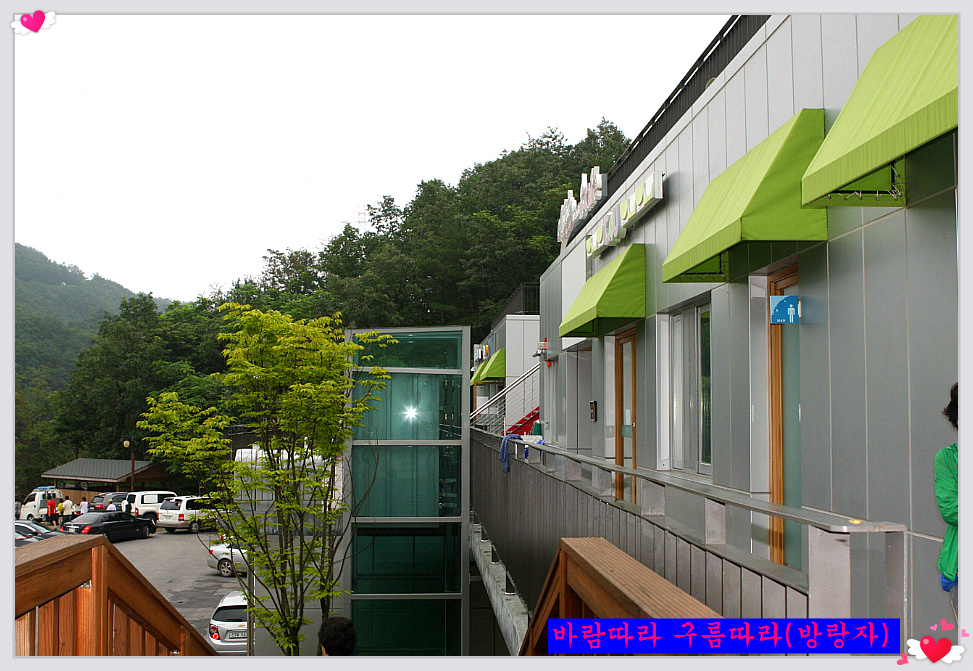 정선에코리조트 이미지