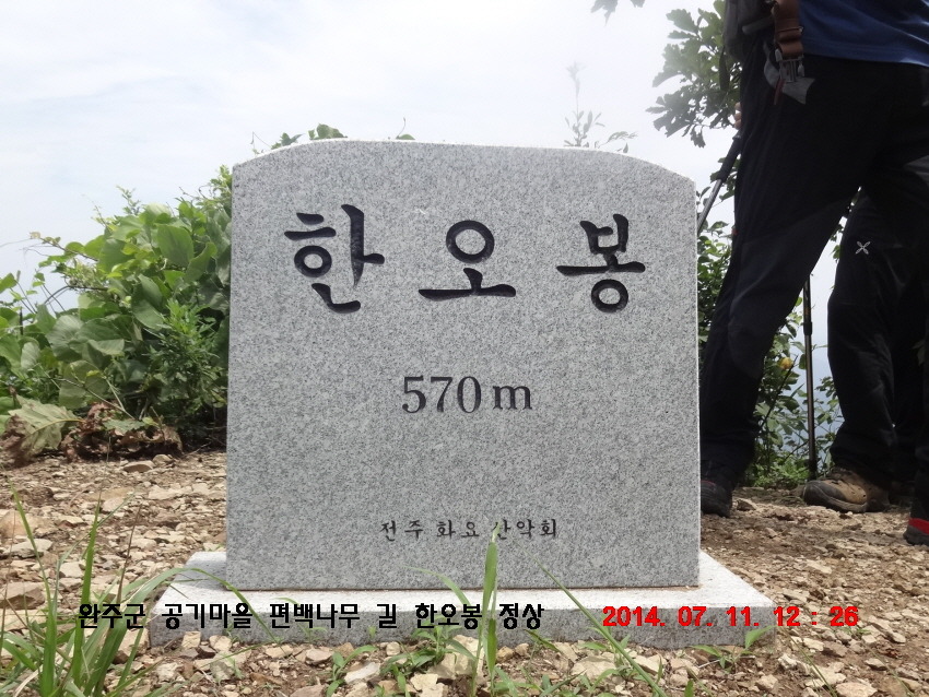정담편백 이미지