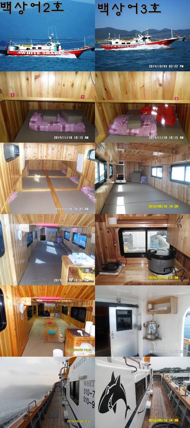 갈치조황++ - ((7일 여수백상어)) 당일출조조황입니다~~~ 집어된게 눈에 보이는데~~~ 오늘도 출조합니다~~ 내일, 모레,, 자리여유있습니다 기상만... 