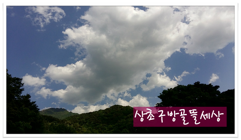 오월의뜰 이미지