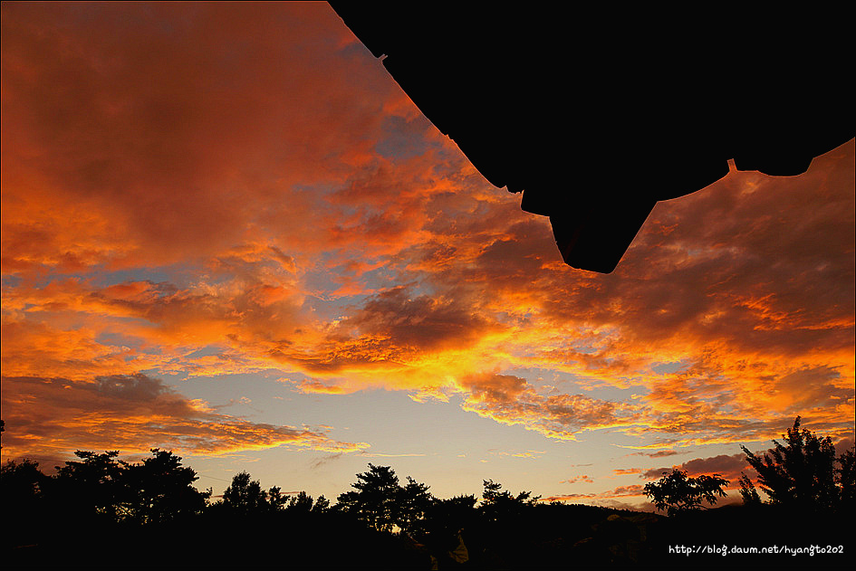 학산 정갑수 선생의 원기론(元氣論) 이미지