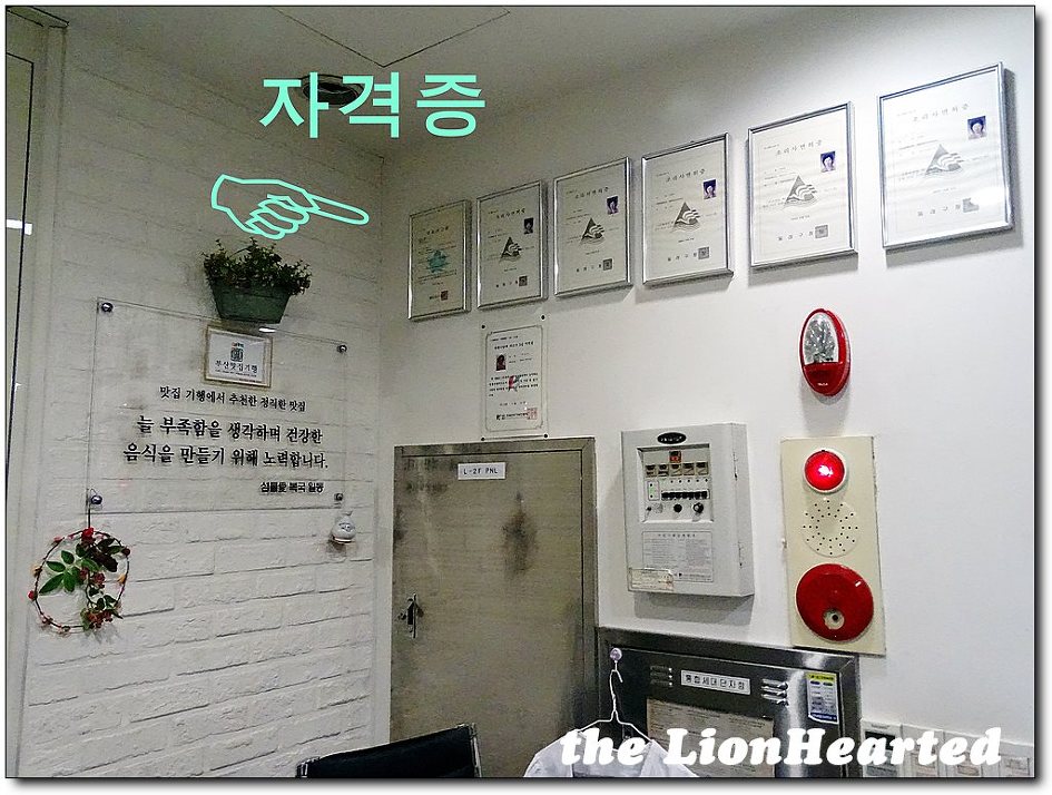 섬들애 이미지