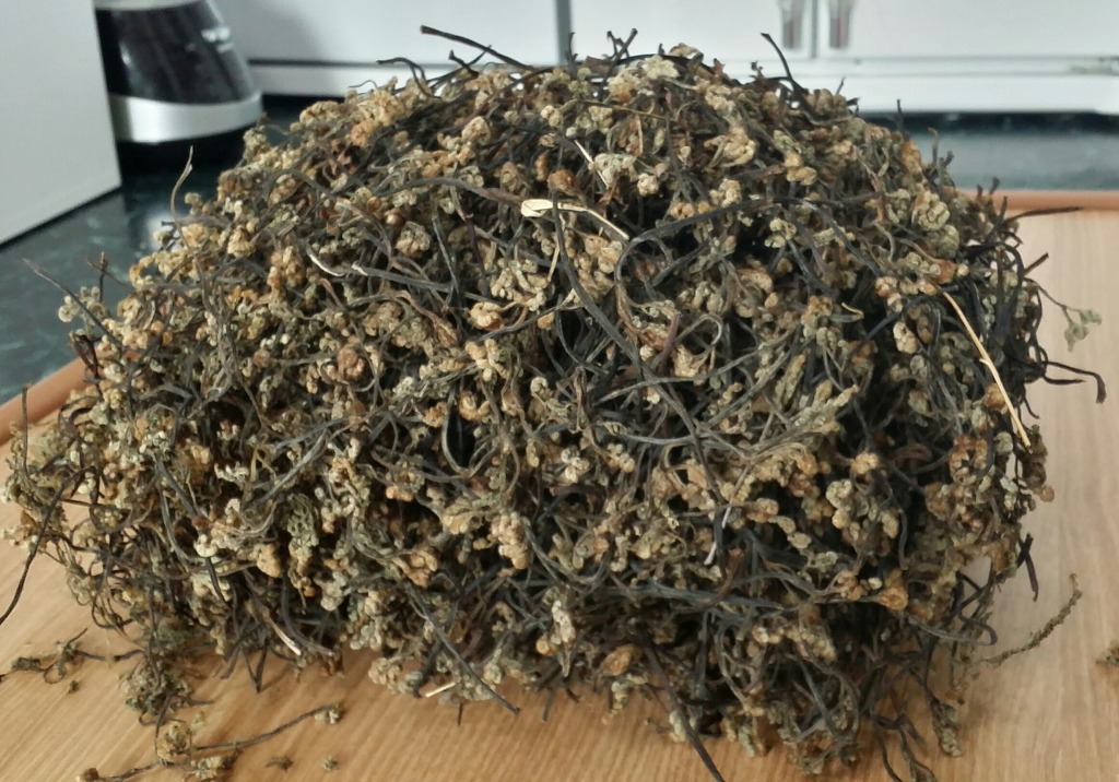 자연산 햇고사리 판매해요.