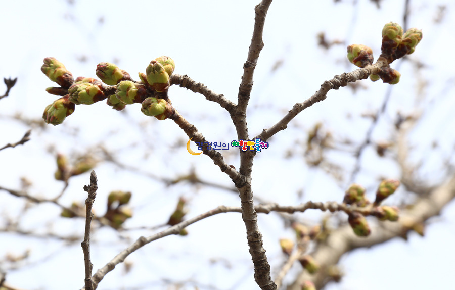 (주)청풍 이미지