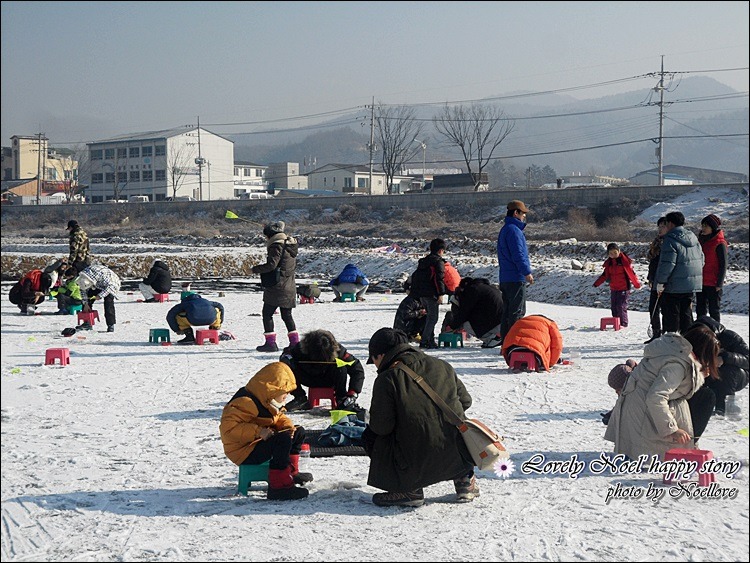 23360C4D52D277562F08D8