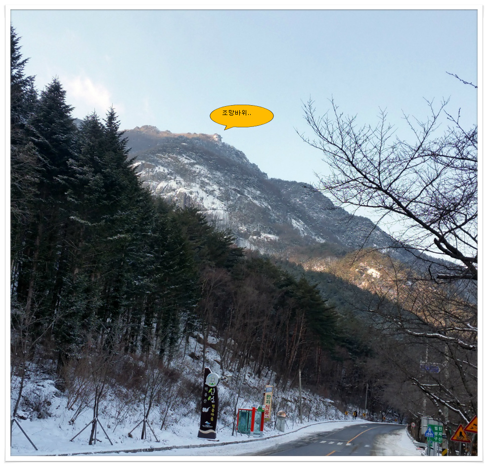 레쯔비 이미지