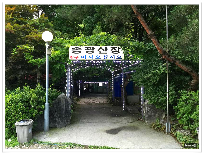 묵은지 닭도리탕이 유명한 송광산장 - 전북/완주군 지역 추천맛집 송광산장 후기
