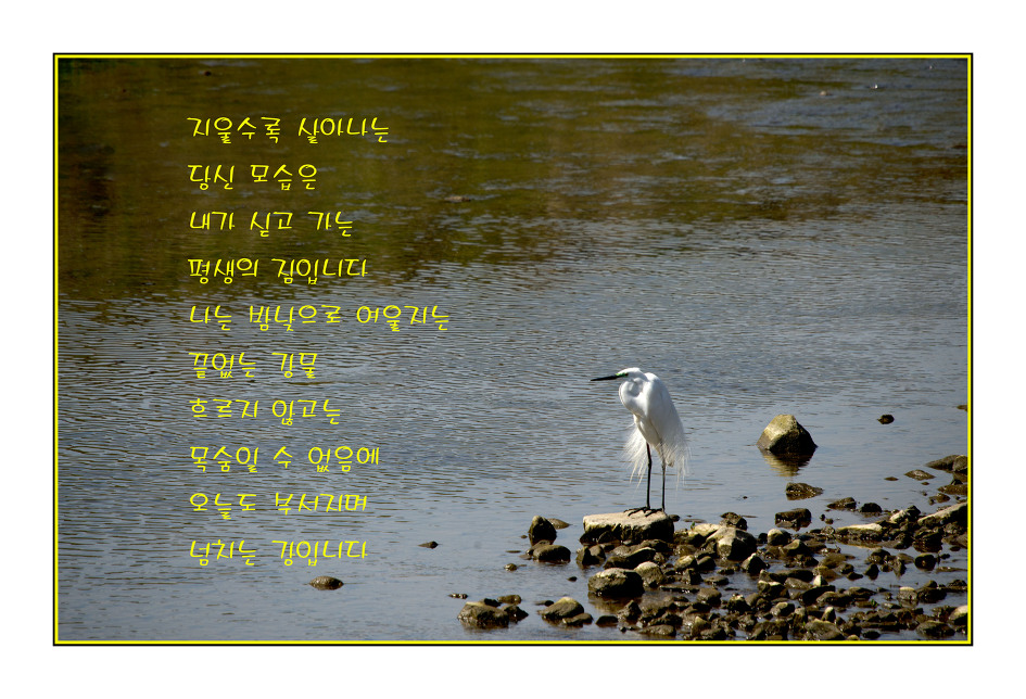 이해인수녀님 .용혜원님 시