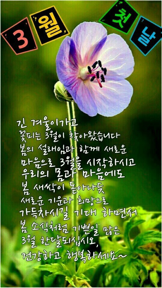 봄이  소식  전합니다