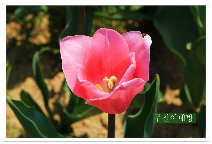 잔치마을 이미지