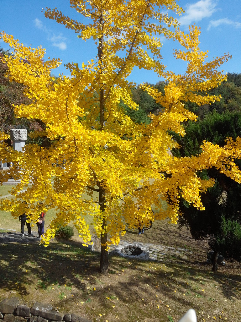 육 신 사[六臣祠]와 사육신[死六臣]