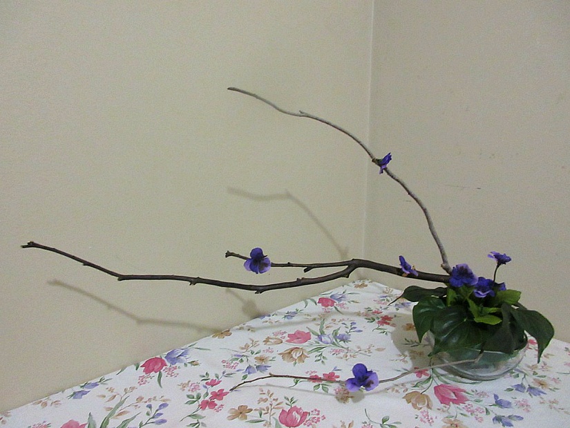 연습