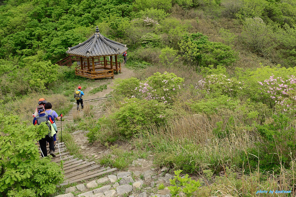 금원산 ~ 기백산(15. 5.23)에서 바위와 멋진 조망을 즐기고 행복을 누리다.