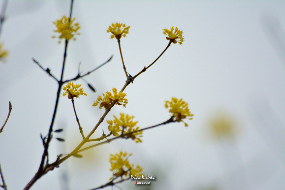 봄의 시작선에서(Road 111)-영천 시안미술관