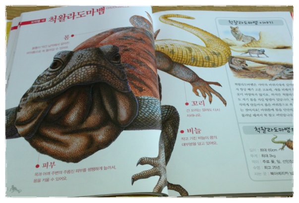 더블클릭을 하시면 이미지를 수정할 수 있습니다