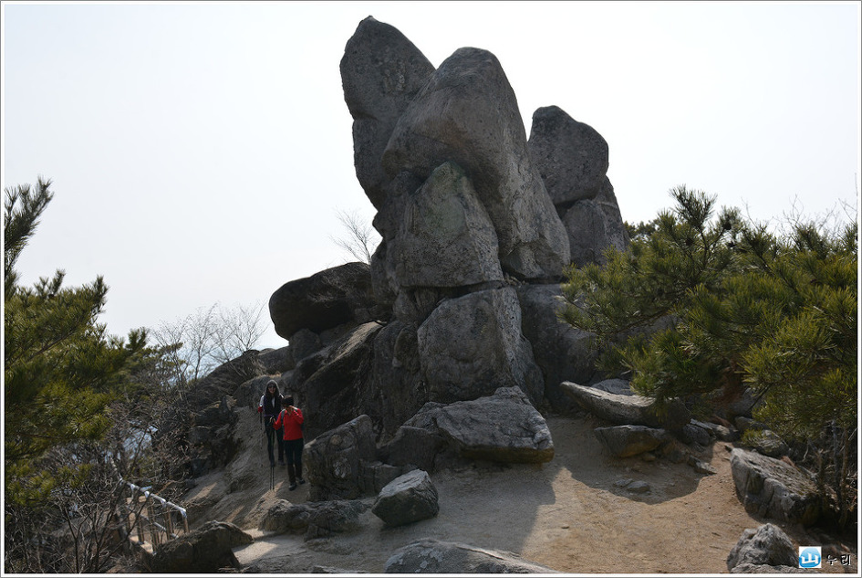 팔공산의 추억을 찾아서(16.2.20) 산림청/인기 백대명산 제34위