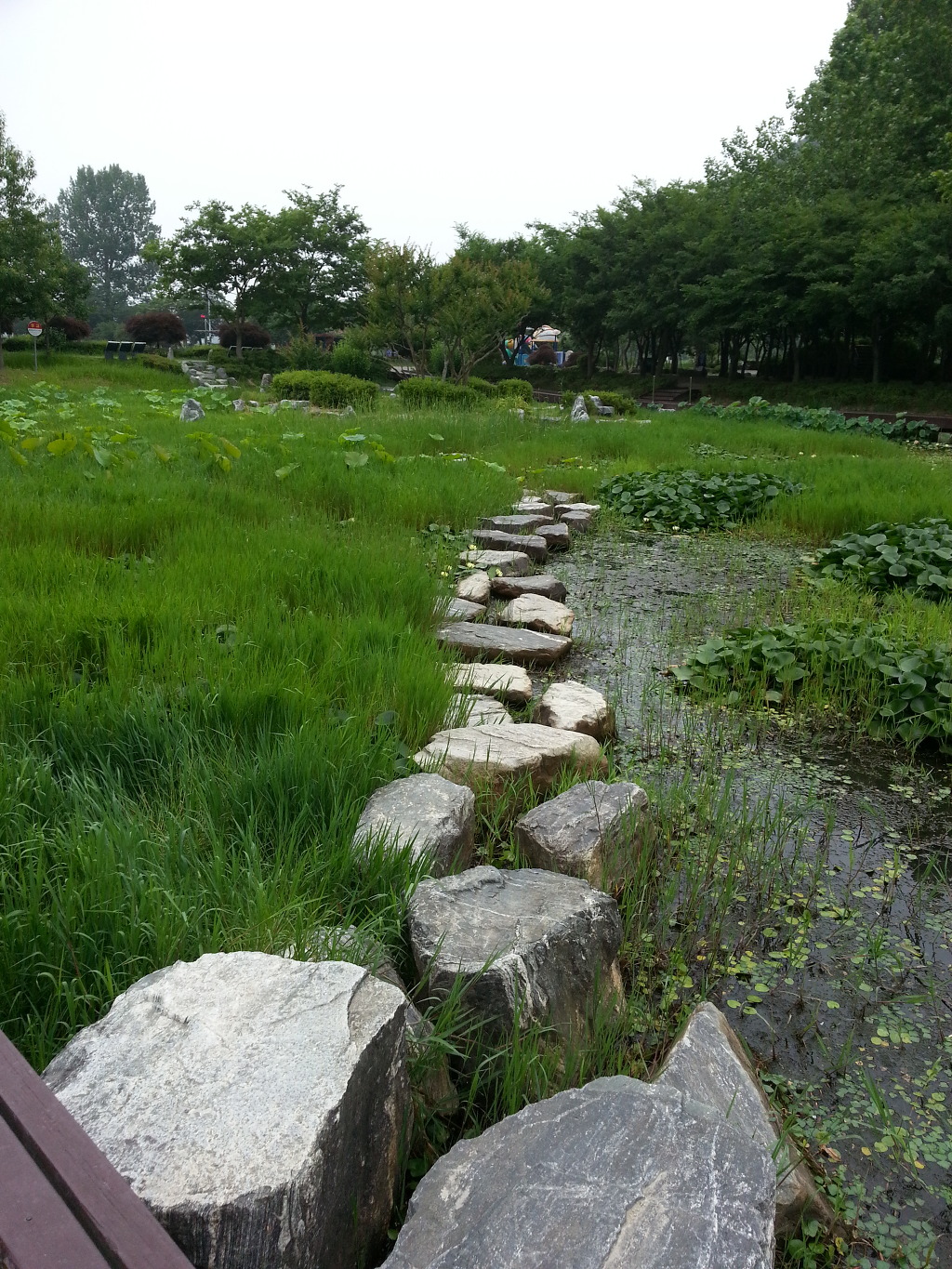 광주의 뚝섬 송산유원지를 가다