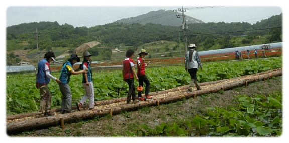 더블클릭을 하시면 이미지를 수정할 수 있습니다