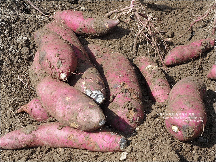 261D744354170EC0366DEB