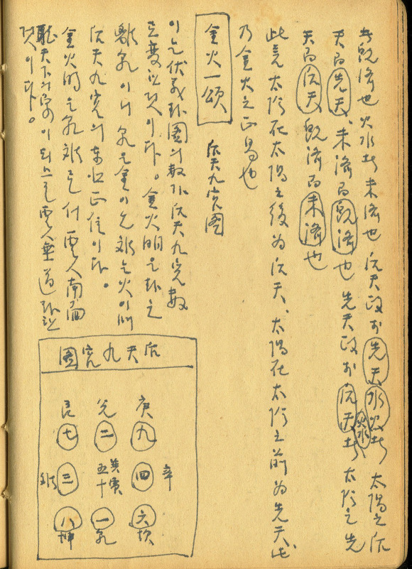 四象分體度