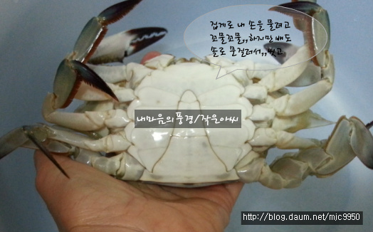 밥도둑 이미지