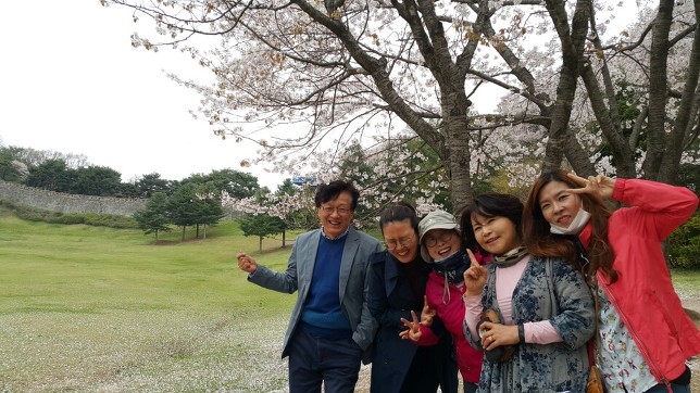 꽃비 이미지