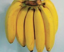 올바른식품 이미지