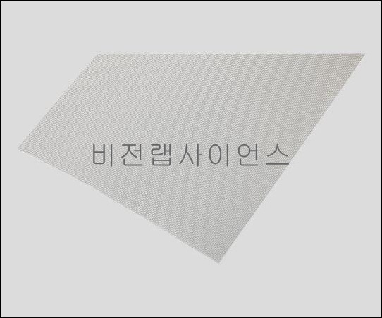 각종 메시,MESH