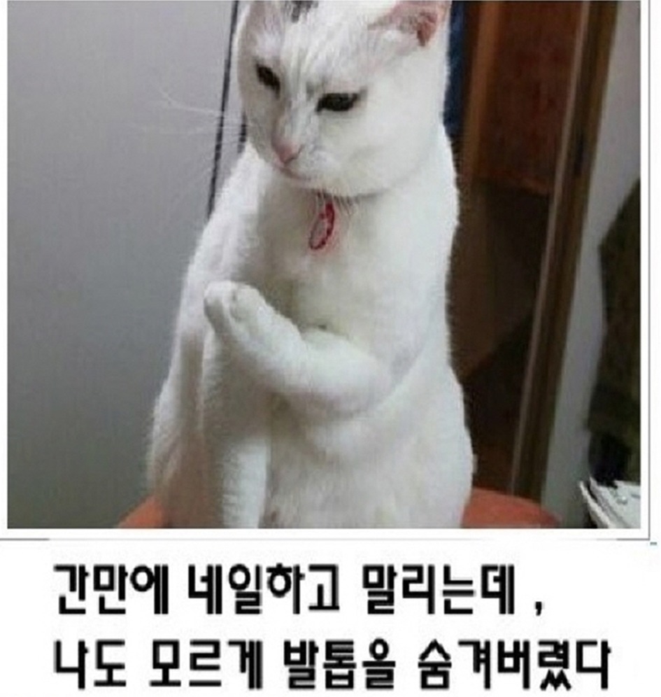 266A833F5710AA4E09876D