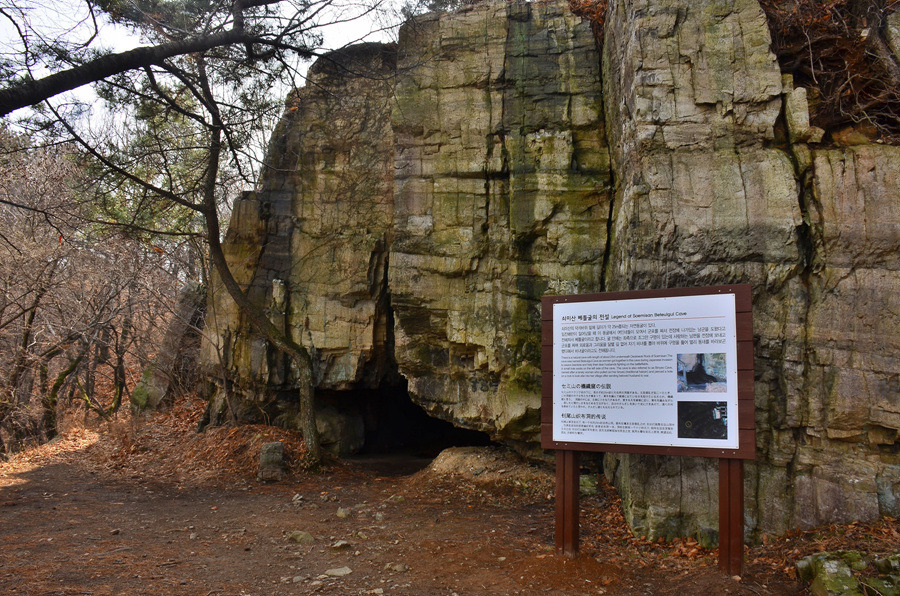 아내가 아프다.