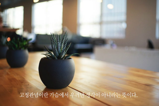 고정관념이란...