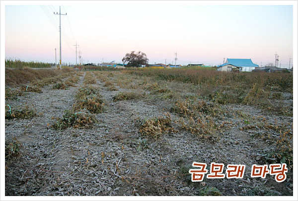 평생친구 이미지