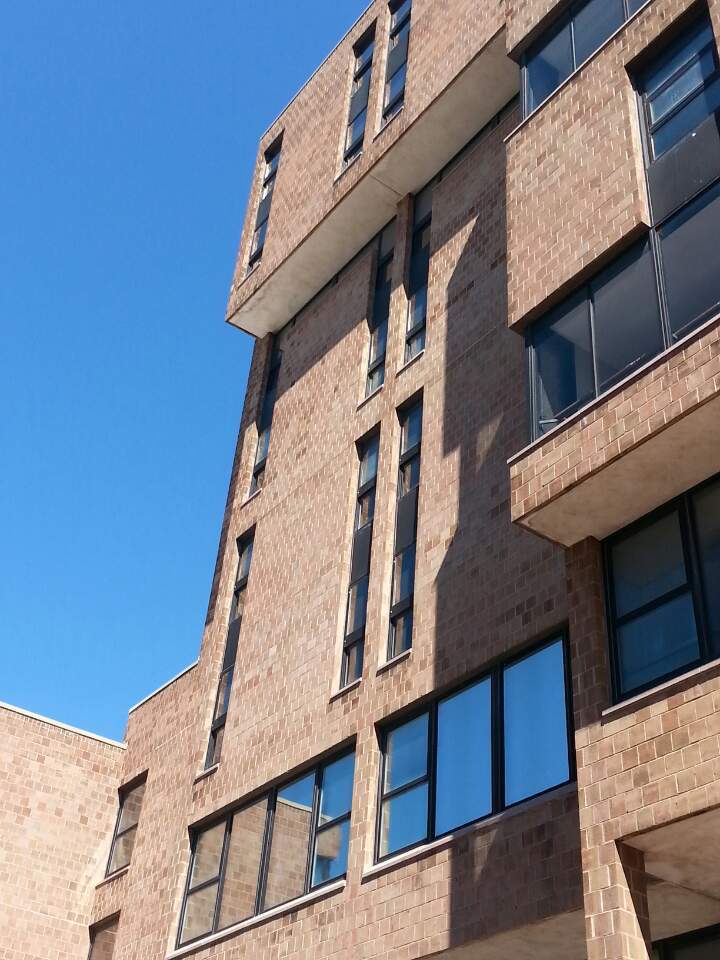 룸메이트 - 미국 대학생활