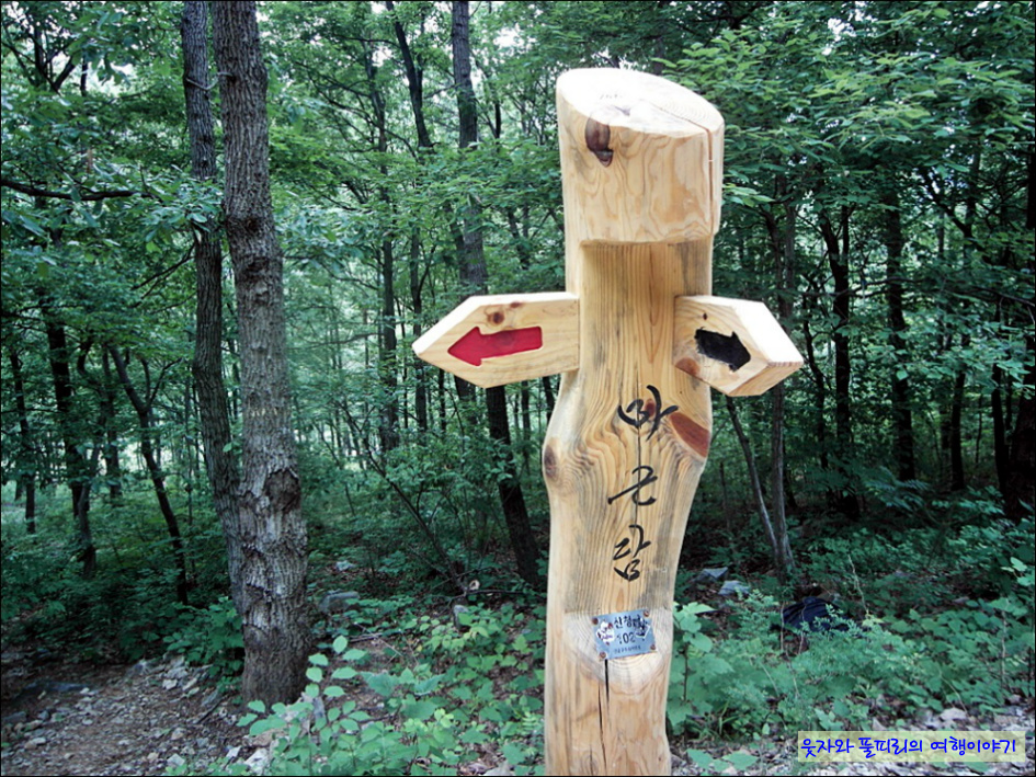 참나무 숲길 이미지