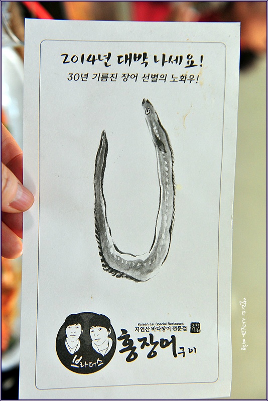 홍장어 이미지