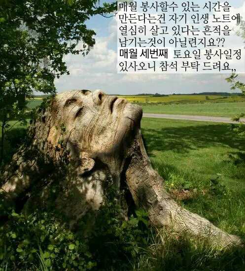 소망세탁 이미지