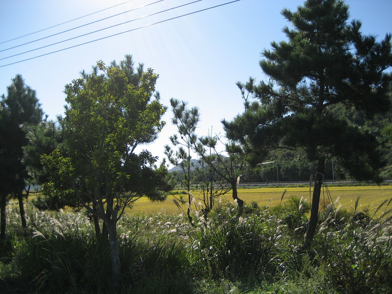 실망에 대하여...