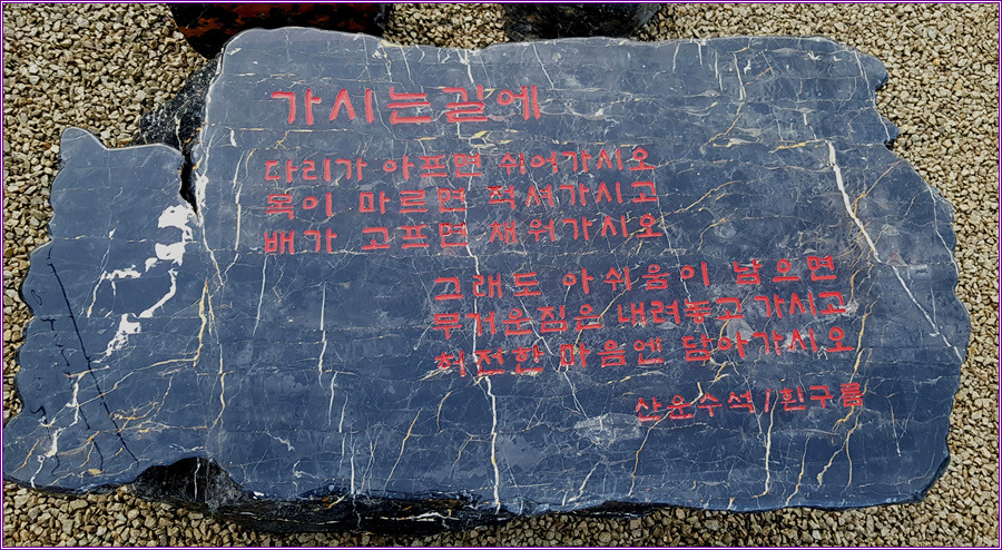 돌배 