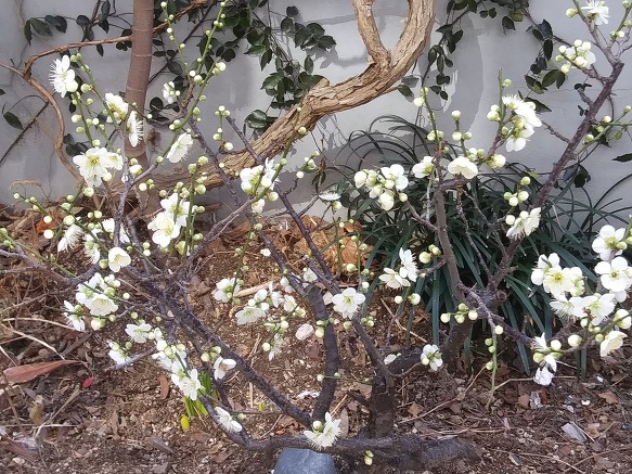 삼인 요양병원 이미지