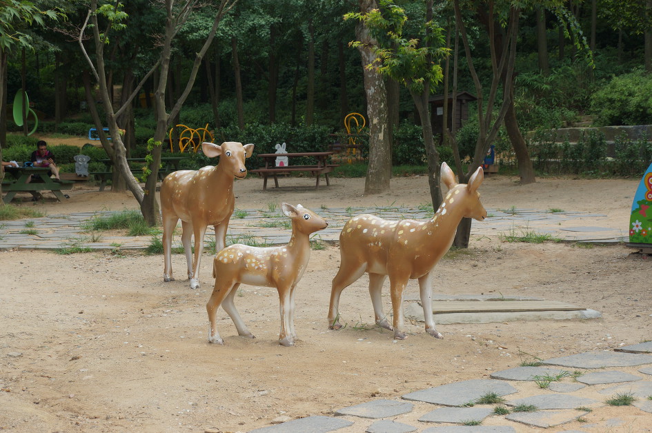 인천/부평숲 인천나비공원