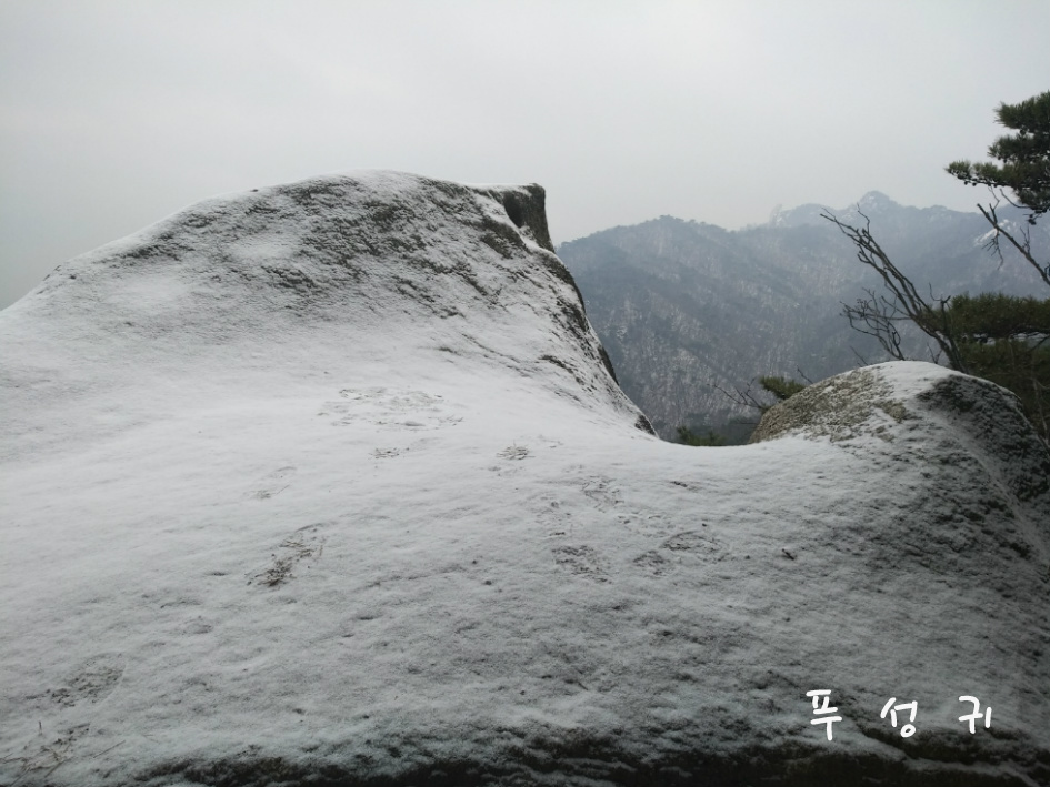 번개산책