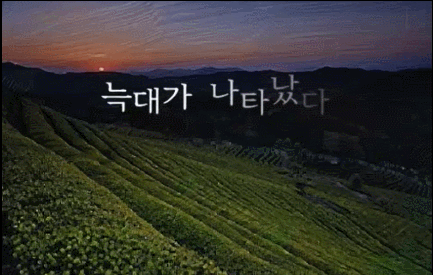 이혜경「늑대가 나타났다」