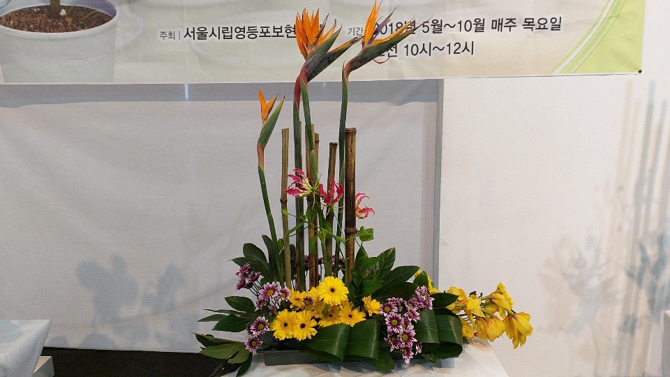 100회전국체전!