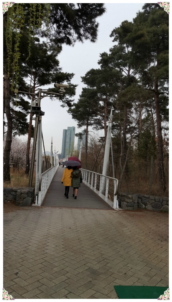 봄 나들이 다녀오다..[응봉산과 서울숲]